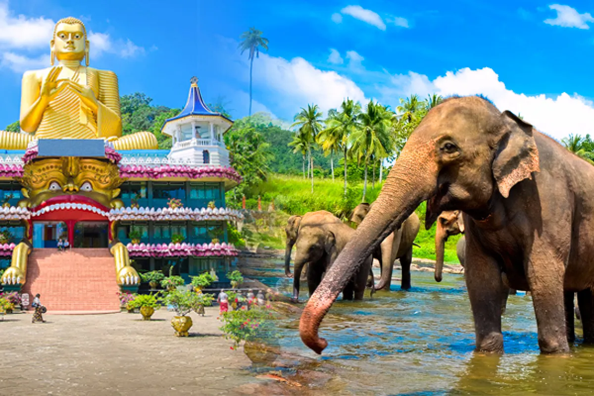 Ancient Kingdoms and Ocean Wonders Tour