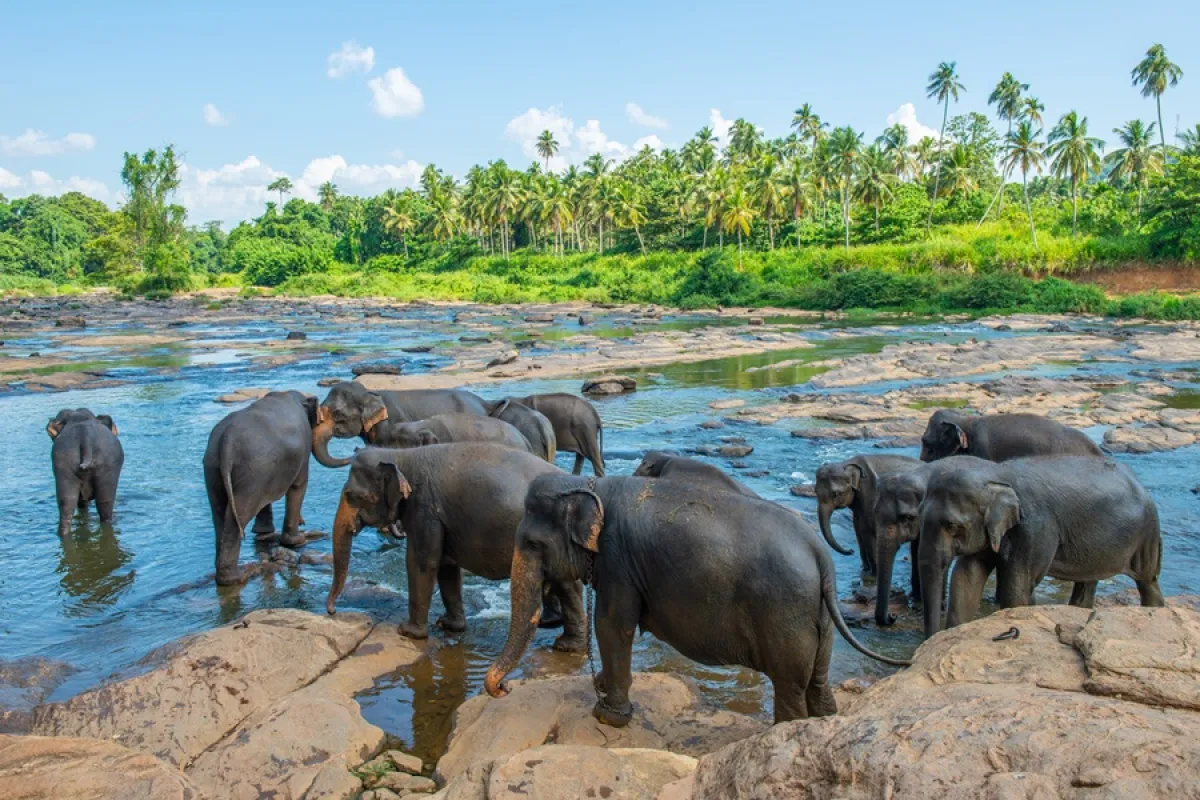 Sri Lanka Heritage & Nature Trail – 12-Day Explorer Tour